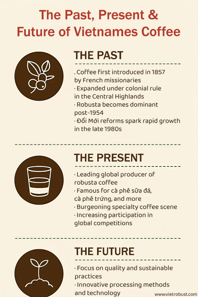 Explore the history, current landscape, and future of Vietnamese coffee. Learn how Vietnam became a global robusta leader and where the industry is heading next.
